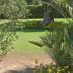 Is Solinas Masainas