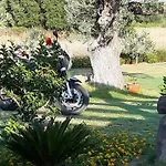 Is Solinas Masainas