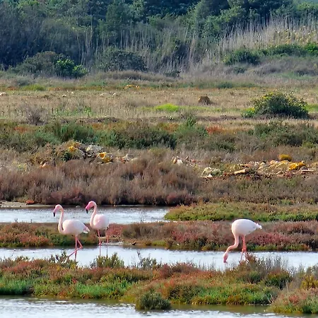 Nocleg ze śniadaniem Is Solinas Masainas