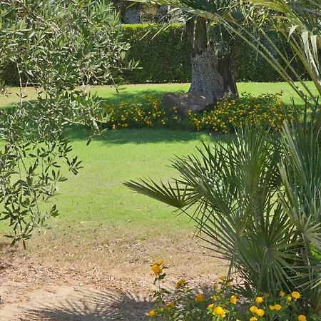Is Solinas Masainas