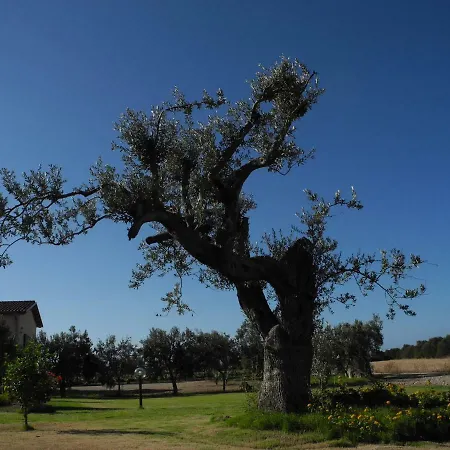 Nocleg ze śniadaniem Is Solinas