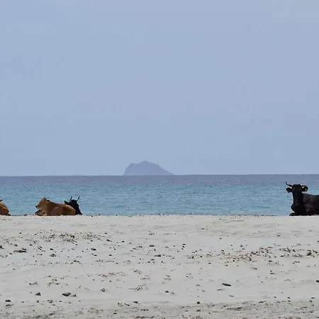 Is Solinas 3* Masainas