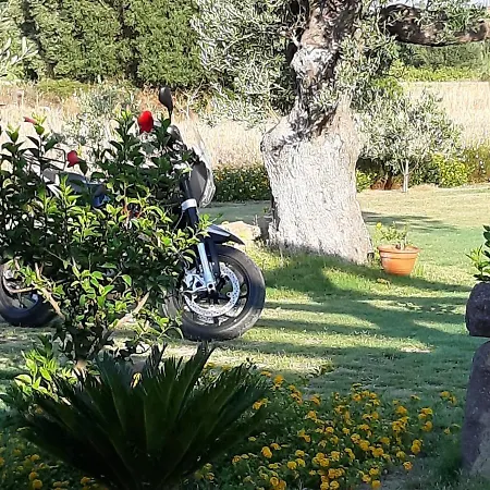 Is Solinas Masainas