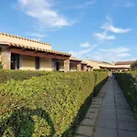 Is Solinas Masainas