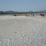 Is Solinas Masainas