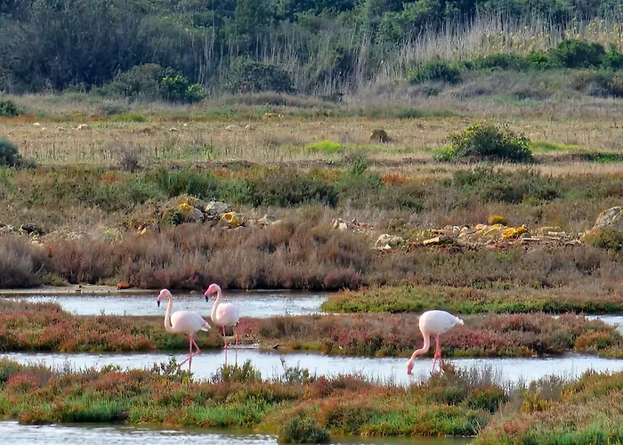 住宿加早餐酒店 Is Solinas Masainas