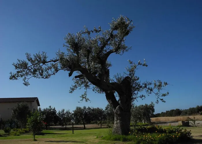 住宿加早餐酒店 Is Solinas