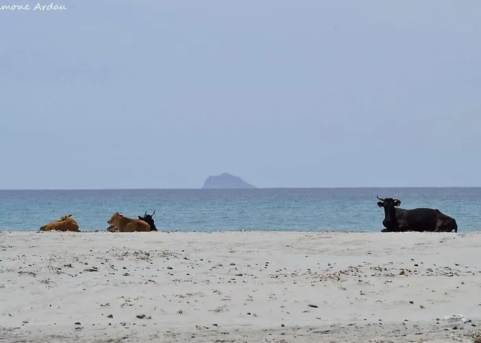 Is Solinas 3* Masainas